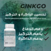 GINKGO BILOBA