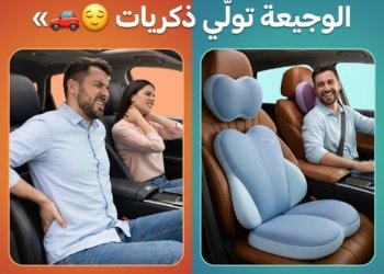 Coussin Ergonomique de Siège Auto 2-en-1