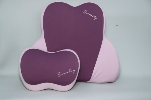 Coussin Ergonomique de Siège Auto 2-en-1