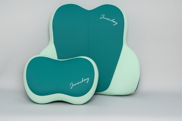 Coussin Ergonomique de Siège Auto 2-en-1