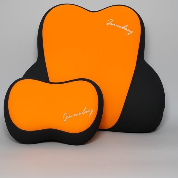 Coussin Ergonomique de Siège Auto 2-en-1