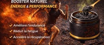images (1) SHILAJIT 20% ACIDE FULVIQUE 60 CAPSULES